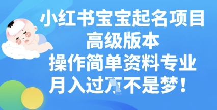 小红书宝宝起名项目高级版本,操作简单,资料专业,月入过W-老鹰博客