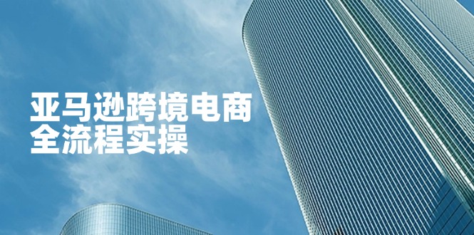（14252期）亚马逊跨境电商全流程实操，教你从零开始，掌握店铺运营与广告技巧-老鹰博客