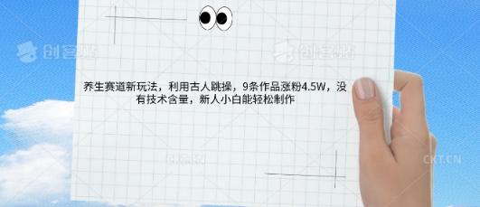 AI养生赛道新玩法,10条作品涨粉5.2W,操作简单,新人小白能轻松制作-老鹰博客