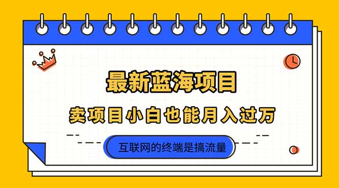 (14289期)2025年最新蓝海项目,卖项目小白也能月入过万-老鹰博客