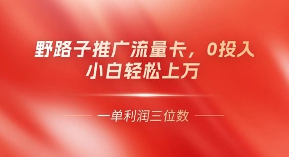 0门槛推广流量卡,一单收益上百,0投入,小白月入过W-老鹰博客