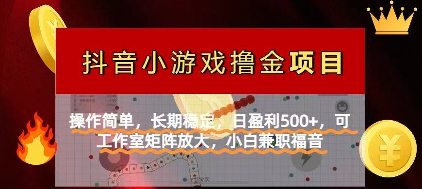 （14290期）【抖音小游戏发行人计划项目】操作简单，长期稳定，日盈利500+，可工作...-老鹰博客