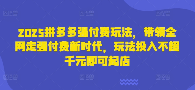 2025拼多多强付费玩法，带领全网走强付费新时代，玩法投入不超千元即可起店-老鹰博客