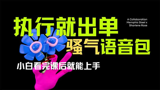 (14170期)爆火全网的开车导航骚气语音包,只要执行就出单,小白看完课程就能实操...-老鹰博客