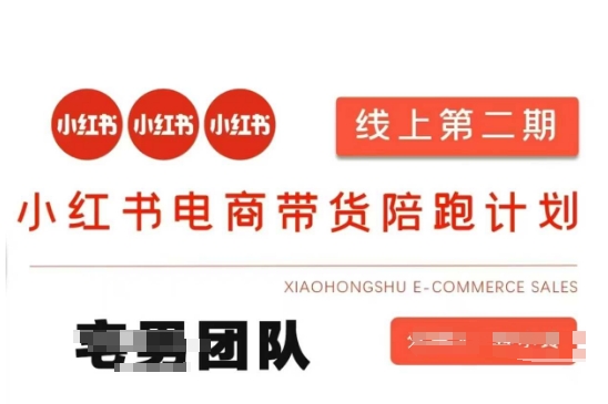 小红书电商带货课2期,月利润20个的小红书电商的有货源,无货源,虚拟产品,付费投流等整套玩法-老鹰博客