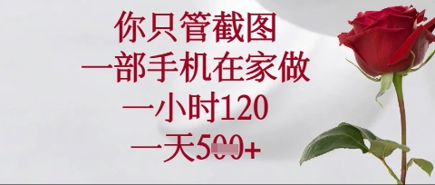 你只管截图,一部手机在家操作,一小时120.一天5张【揭秘】-老鹰博客