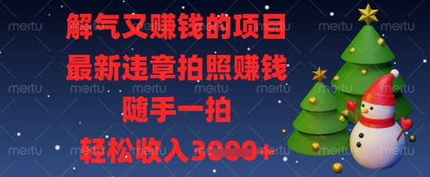 解气又挣钱的项目,最新违章拍照挣钱,随手一拍,轻松收入数张【揭秘】-老鹰博客